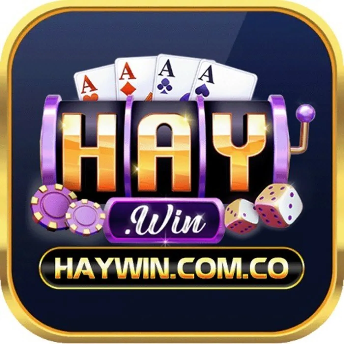 Thông tin Haywin